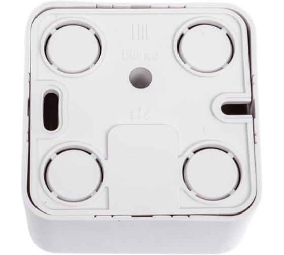 Двойная компьютерная розетка Systeme Electric Blanca наружная белый RJ45, кат.5E SE BLNIA045451