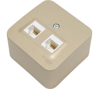 Двойная компьютерная розетка Systeme Electric Blanca наружная Титан RJ45, кат.5E SE BLNIA045454