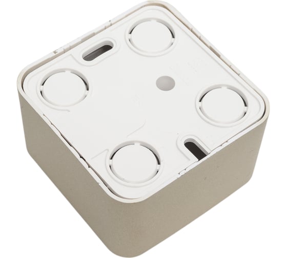 Двойная компьютерная розетка Systeme Electric Blanca наружная Титан RJ45, кат.5E SE BLNIA045454