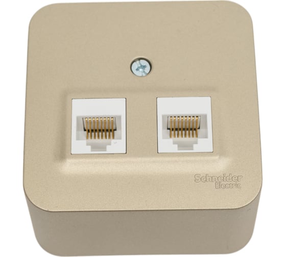 Двойная компьютерная розетка Systeme Electric Blanca наружная Титан RJ45, кат.5E SE BLNIA045454