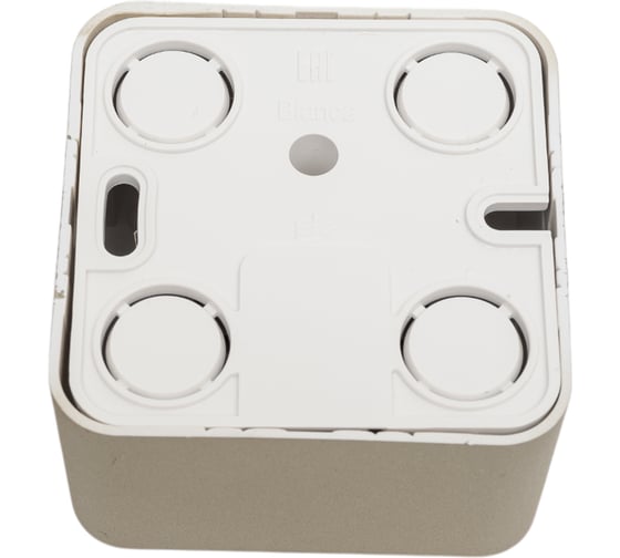Двойная компьютерная розетка Systeme Electric Blanca наружная Титан RJ45, кат.5E SE BLNIA045454