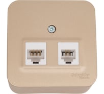 Двойная розетка компьютерная+ТВ Systeme Electric Blanca наружная Титан, RJ45+RJ11, кат.5E SE BLNIA045114