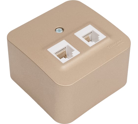 Двойная розетка компьютерная+ТВ Systeme Electric Blanca наружная Титан, RJ45+RJ11, кат.5E SE BLNIA045114