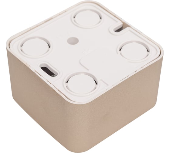 Двойная розетка компьютерная+ТВ Systeme Electric Blanca наружная Титан, RJ45+RJ11, кат.5E SE BLNIA045114