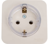 Наружная розетка Systeme Electric Blanca Бежевый, с заземлением, без шторок SE BLNRA110117