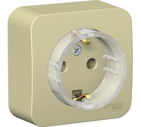 Наружная розетка Systeme Electric Blanca Бежевый, с заземлением, без шторок SE BLNRA110117