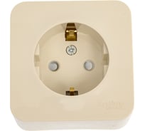 Наружная розетка Systeme Electric Blanca Бежевый, с заземлением, со шторками, изолированная пластина, 16А SE BLNRA011117