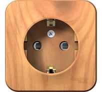 Наружная розетка Systeme Electric Blanca Ясень, с заземлением, со шторками, 16А, 250В SE BLNRA011115