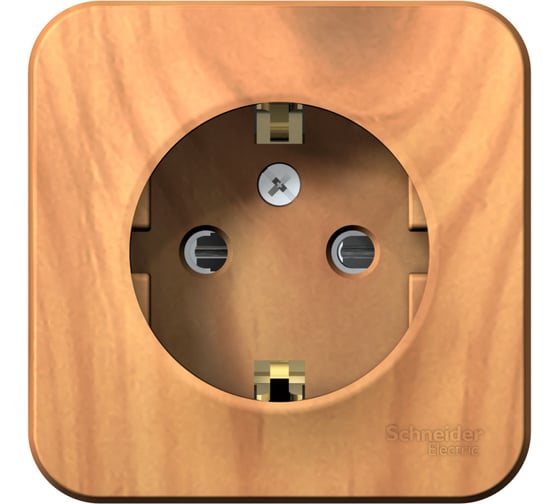 Наружная розетка Systeme Electric Blanca Ясень, с заземлением, со шторками, 16А, 250В SE BLNRA011115 1