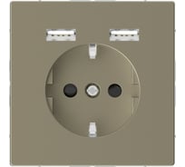 Розетка Schuko с 2 USB Systeme Electric Merten D-Life Сахара SE MTN2366-6033