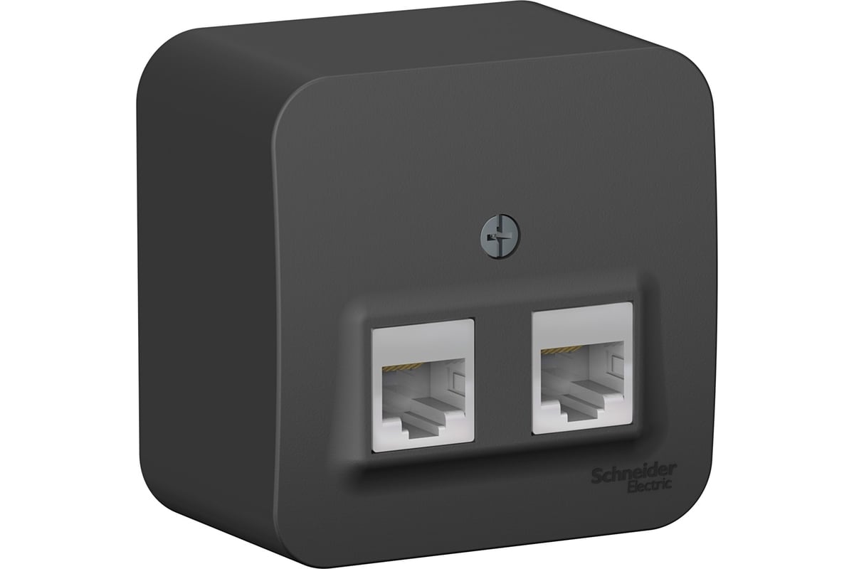 2-ая наружная компьютерная розетка Systeme Electric Blanca Антрацит ...