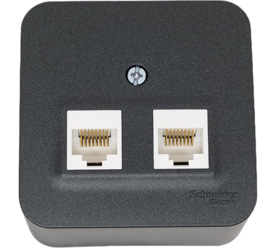 2-ая наружная компьютерная розетка Systeme Electric Blanca Антрацит, RJ45 SE BLNIA045456