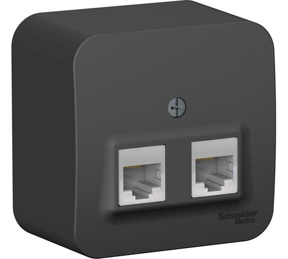 2-ая наружная компьютерная розетка Systeme Electric Blanca Антрацит, RJ45 SE BLNIA045456