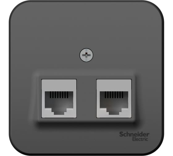2-ая наружная компьютерная розетка Systeme Electric Blanca Антрацит, RJ45 SE BLNIA045456