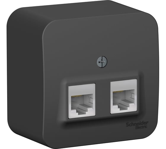 2-ая наружная компьютерная розетка Systeme Electric Blanca Антрацит, RJ45 SE BLNIA045456