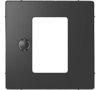 Накладка для сенсорного термостата Systeme Electric Merten D-Life Антрацит, центральная SE MTN5775-6034