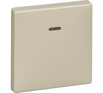 1-ая клавиша с окошком для световой индикации Systeme Electric Merten SD Бежевый SE MTN438044