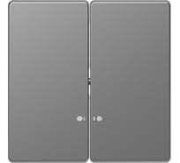 2-ная клавиша Systeme Electric Merten D-Life Нержавеющая Сталь SE MTN3420-6036
