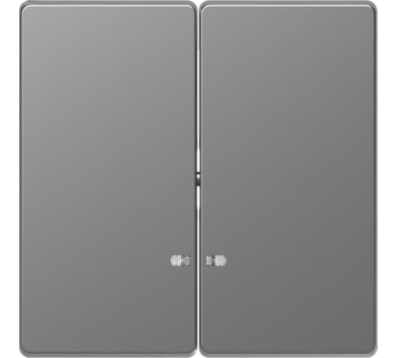 2-ная клавиша Systeme Electric Merten D-Life Нержавеющая Сталь SE MTN3420-6036