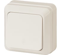 Одноклавишный выключатель Intro Quadro 2-101-02 10А-250В, IP20, открытая установка, слоновая кость, Б0053735