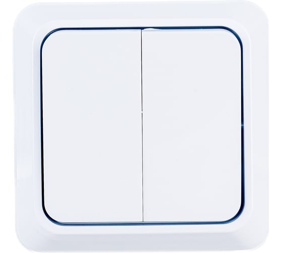 Двухклавишный выключатель Intro Quadro, 10А-250В, IP20, открытая установка, без монтажной пластины, белый, Б0053901 1