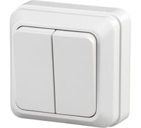 Двухклавишный выключатель Intro Quadro 2-104-01 10А-250В, IP20, открытая установка, белый, Б0053757