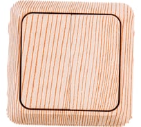 Двухклавишный выключатель Intro Quadro 2-104-11 10А-250В, IP20, открытая установка, сосна, Б0053763