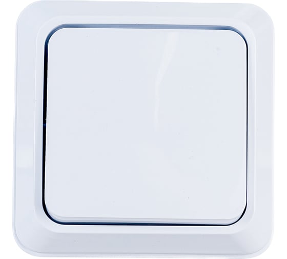 Выключатель Intro Quadro 10А-250В, IP20, открытая установка, без монтажной пластины, белый, Б0053899