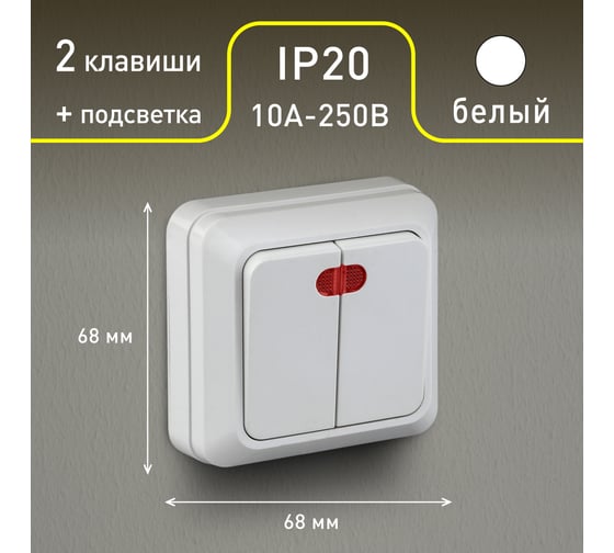 Двухклавишный выключатель Intro Quadro 2-105-01 с подсветкой, 10А-250В, IP20, открытая установка, белый, Б0053766