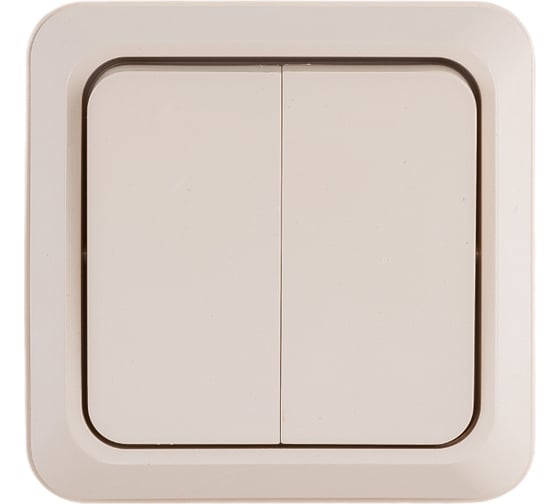 Двухклавишный выключатель Intro Quadro 2-104-02 10А-250В, IP20, открытая установка, слоновая кость, Б0053759