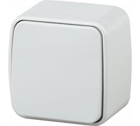 Переключатель Intro Polo 3-103-01 10A-250В, IP20, открытая установка, белый, Б0053533