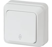 Переключатель Intro Quadro 2-103-01 10А-250В, IP20, открытая установка, белый, Б0053749