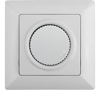 Светорегулятор Intro Solo 4-401-01 поворотный, 600Вт 230В, IP20, СУ, белый, Б0053959