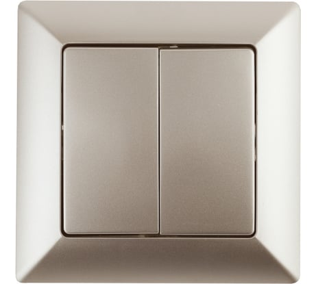 Выключатель Intro Solo 4-104-04 двухклавишный 10А-250В, IP20, СУ, шампань, Б0053588