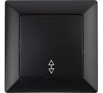 Переключатель Intro Solo 4-103-05 одноклавишный 10А-250В, IP20, СУ, антрацит, Б0053581