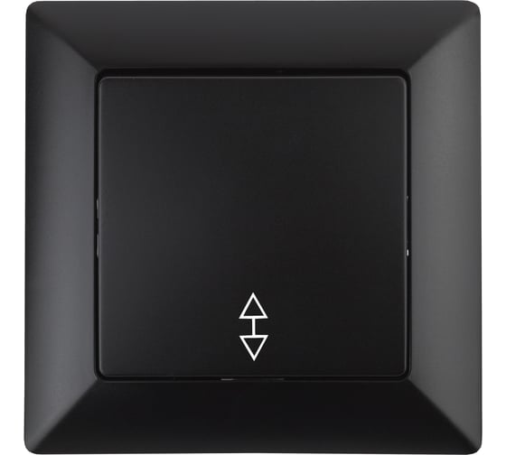 Переключатель Intro Solo 4-103-05 одноклавишный 10А-250В, IP20, СУ, антрацит, Б0053581 1