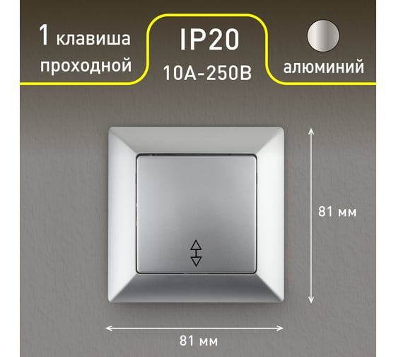Переключатель Intro Solo 4-103-03 одноклавишный 10А-250В, IP20, СУ, алюминий, Б0053579