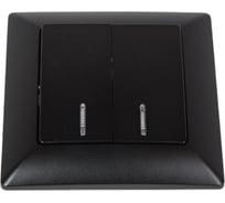 Выключатель Intro Solo двухклавишный с подсветкой, 10А-250В, IP20, СУ, Solo, антрацит, Б0053597