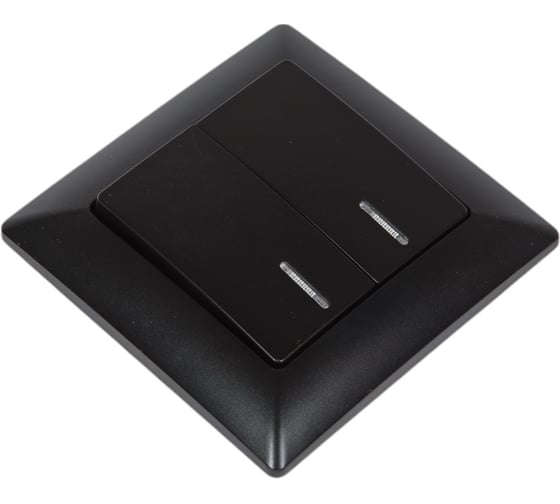Выключатель Intro Solo двухклавишный с подсветкой, 10А-250В, IP20, СУ, Solo, антрацит, Б0053597