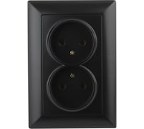 Розетка Intro Solo 4-204-05 без заземления двойная 16А-250В, IP20, СУ, антрацит, Б0053670