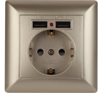 Розетка Intro Solo с заземл P+E Schuko со шторками, 16А-250В + 2хUSB, IP20, СУ, шампань, Б0053716