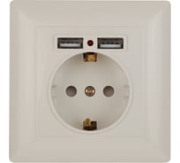 Розетка Intro Solo с заземл P+E Schuko со шторками, 4-410-02, 16А-250В + 2хUSB, СУ, слоновая кость, Б0053714