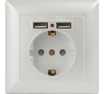 Розетка Intro Solo с заземл P+E Schuko со шторками, 16А-250В + 2хUSB, IP20, СУ, перламутр, Б0053718