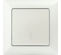 Переключатель Intro Solo 4-103-06 одноклавишный 10А-250В, IP20, СУ, перламутр, Б0053582