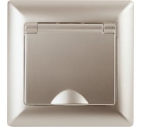 Розетка Intro Solo с заземлением 2P+E Schuko с крышкой, 16А-250В, IP20, СУ, шампань, Б0053660