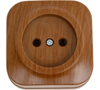 1-ая розетка IEK РС20-2-ХД без з/к о/у 10А GLORY дуб ERH10-K24-10