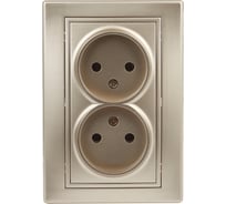 Розетка Intro Plano без заземления двойная 2x2P, 16А-250В, IP20, СУ, Plano, шампань, Б0053909