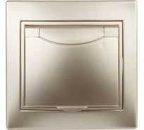 Розетка Intro Plano с заземлением 2P+E Schuko с крышкой, 16А-250В, IP20, СУ, шампань, Б0053894