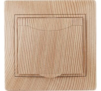 Розетка Intro Plano с заземлением 2P+E Schuko с крышкой, 16А-250В, IP20, СУ, сосна, Б0053902