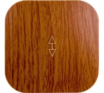 Выключатель IEK ВСп10-1-0-ХД 1-кл. проход. о/у 10А GLORY дуб EVH12-K24-10